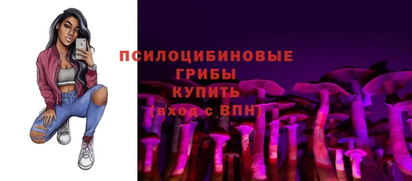 МДПВ Алзамай