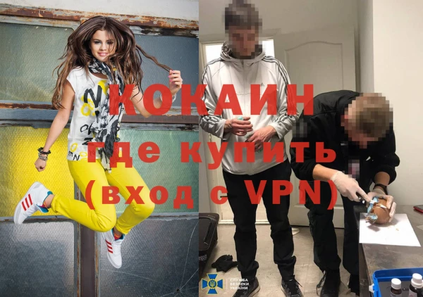 молекула духа Алексин