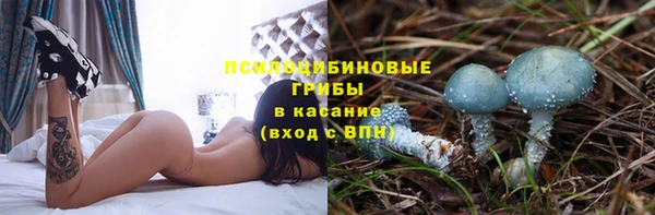 МДПВ Алзамай