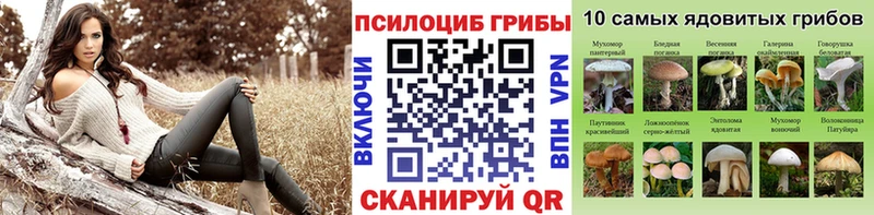 shop официальный сайт  Кыштым  Псилоцибиновые грибы Psilocybe  omg как войти 